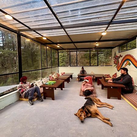 Eevolve Dharamkot - An Eco Hostel マクロード・ガンジ エクステリア 写真