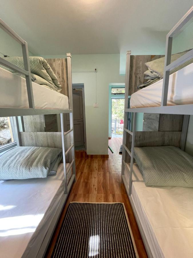 Eevolve Dharamkot - An Eco Hostel マクロード・ガンジ エクステリア 写真